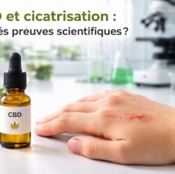 découvrez les preuves scientifiques autour de l'utilisation du cbd dans le processus de cicatrisation et ses effets potentiels sur la réparation des tissus.