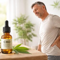 découvrez comment le cbd peut soulager les douleurs lombaires, ses effets, et les résultats attendus pour améliorer votre bien-être au quotidien.