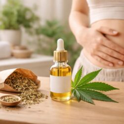 découvrez si le cbd peut être un soutien naturel efficace pour soulager les hémorroïdes, en explorant ses bienfaits et son potentiel thérapeutique.