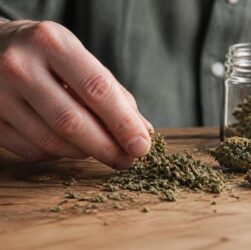 découvrez les meilleures techniques pour effriter le cbd facilement et efficacement afin d'optimiser son utilisation et profiter pleinement de ses bienfaits.
