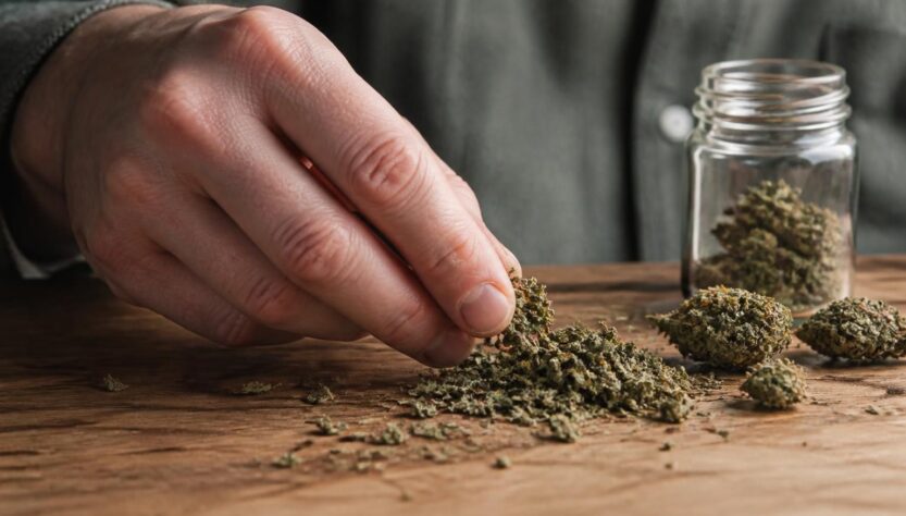 découvrez les meilleures techniques pour effriter le cbd facilement et efficacement afin d'optimiser son utilisation et profiter pleinement de ses bienfaits.