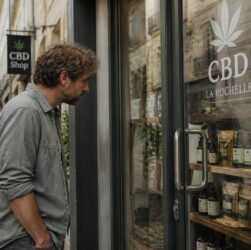 découvrez notre guide complet des magasins de cbd à la rochelle, idéal pour les débutants souhaitant explorer les bienfaits du cannabidiol en toute confiance.